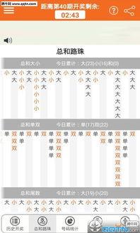 幸运农场开奖结果31,幸运农场31期开奖结果揭晓
