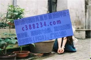 湖南幸运赛车组选,精彩纷呈的数字游戏盛宴