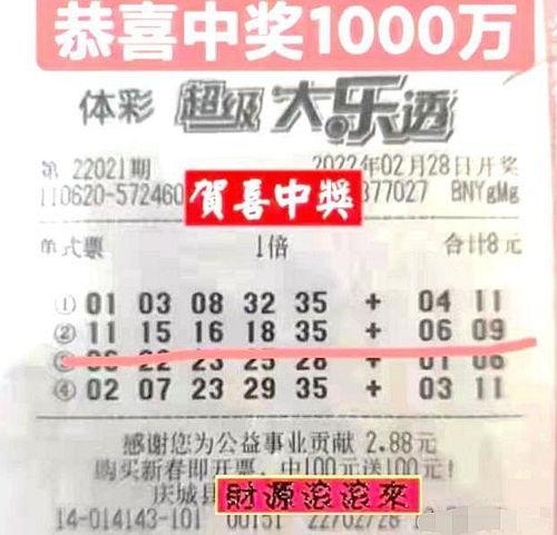 有史以来大乐透开奖结果,历史数据背后的规律与启示