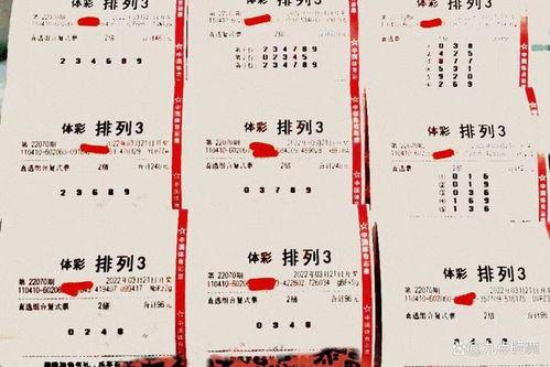 勇敢福彩3d,揭秘数字背后的幸运密码