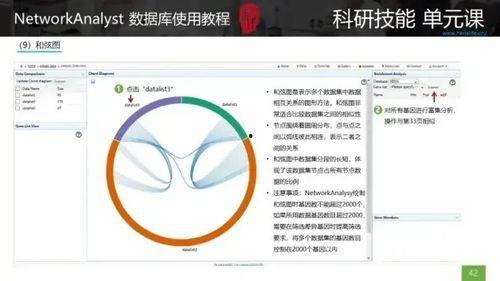 3d弦图,3D弦图的多维度解读与概述